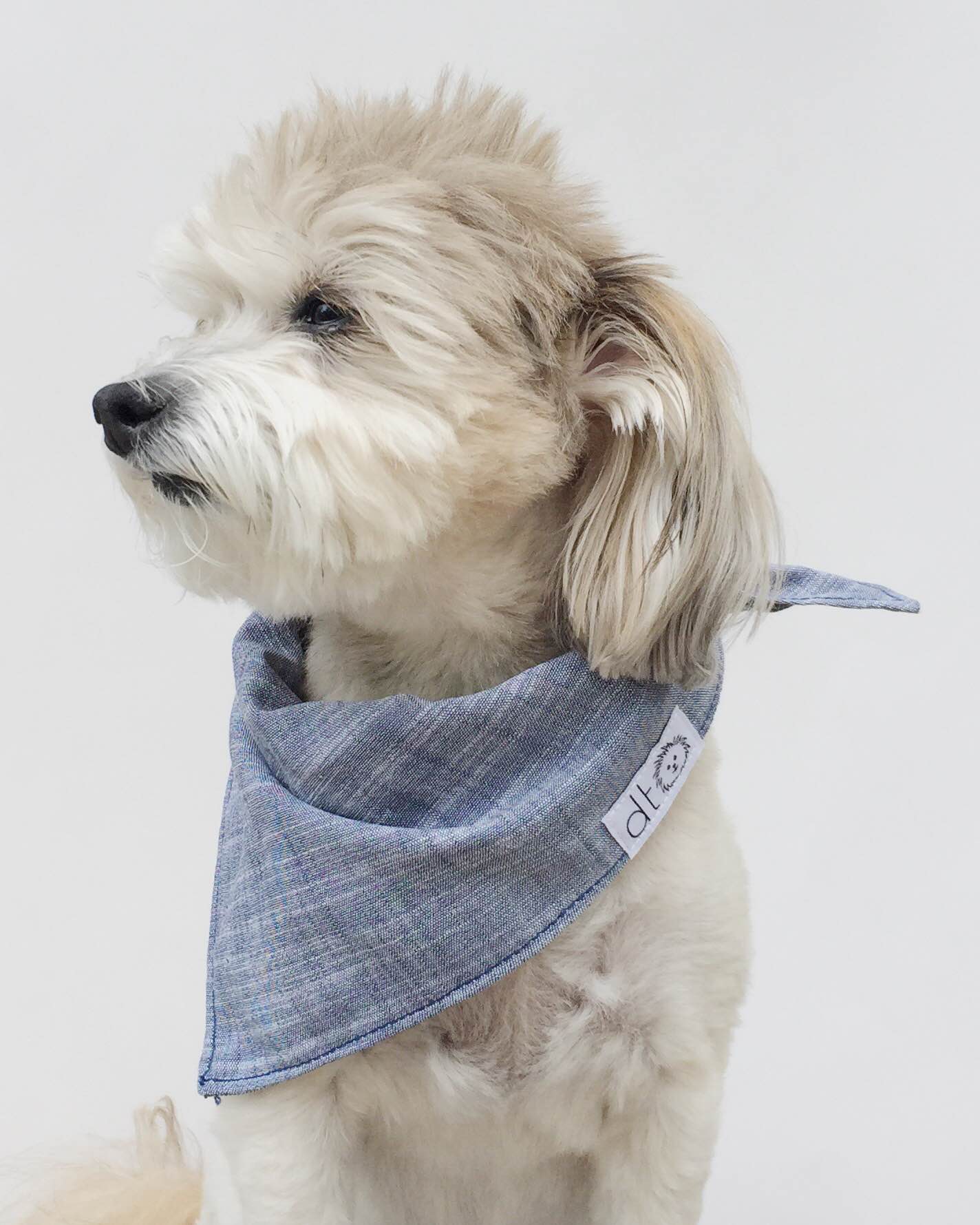 Dog Threads Chambray Bandana