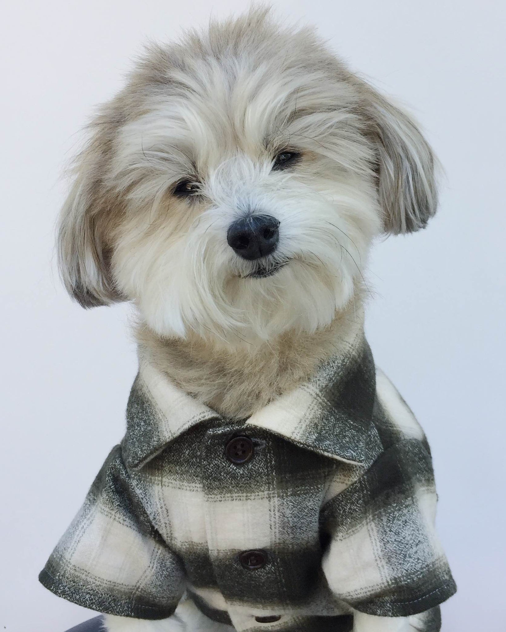 Flannel Dog Shirt by Dog Threads