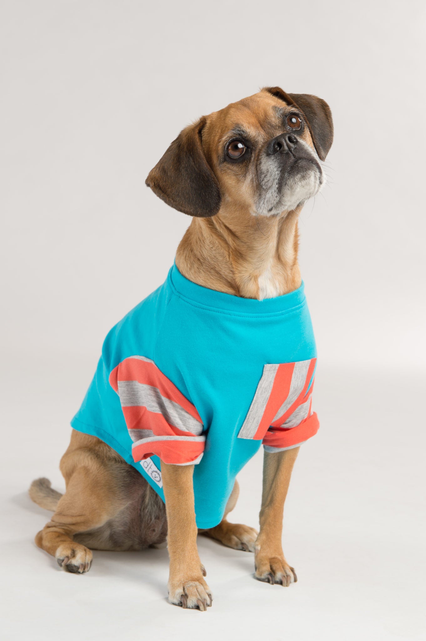 Dog Threads Bright Colorful Dog Clothing Collection for Dog Loves Repeats