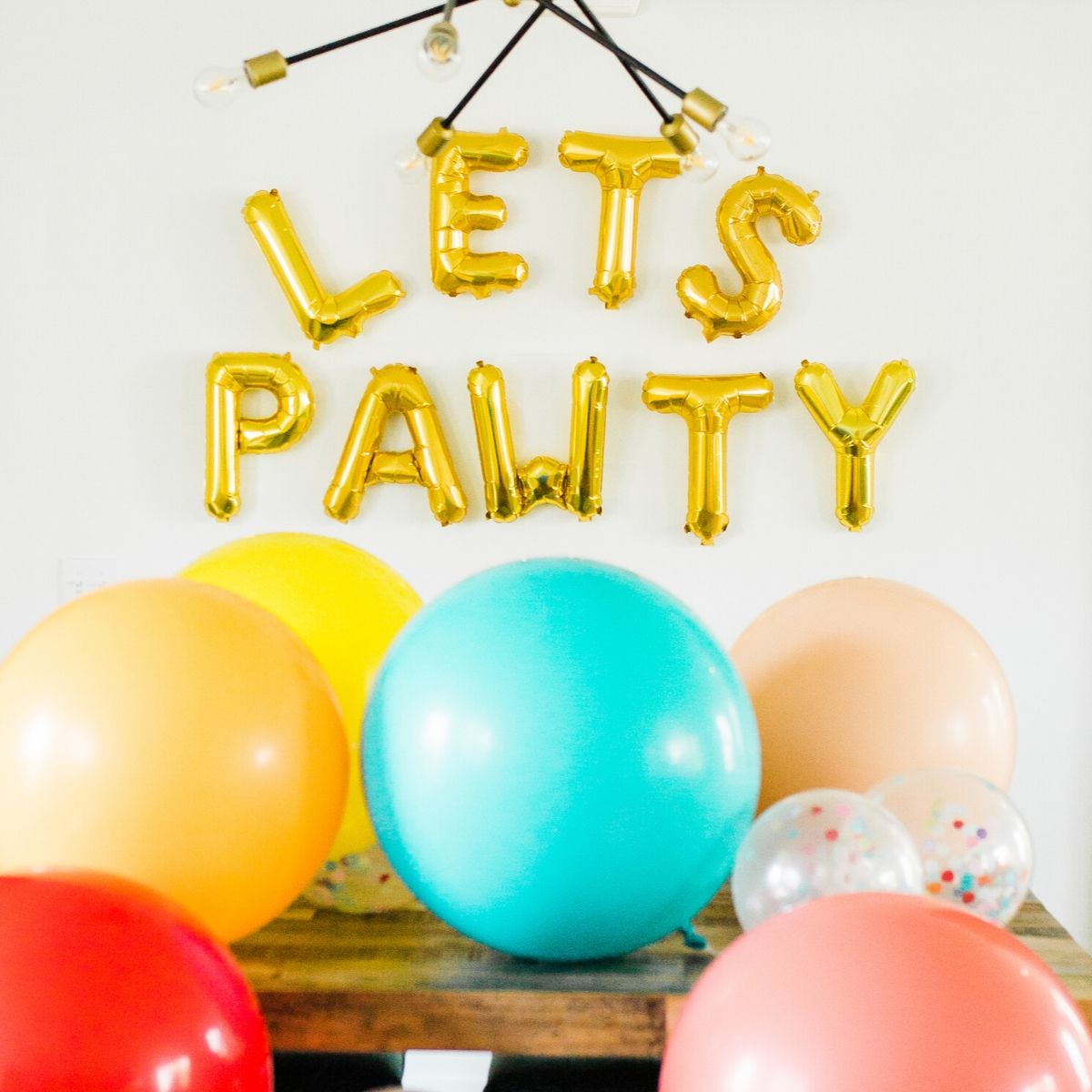 How To Plan Your Dog's Birthday Party or Gotcha Day by Dog Threads