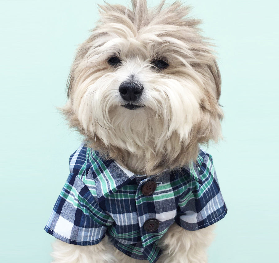 Fetch Boutique | Dog Threads Plaid Shirt Exclusive Design