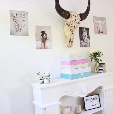 cow skull on the living room wall above a stand