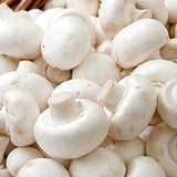 Agaricus spp of mushrooms