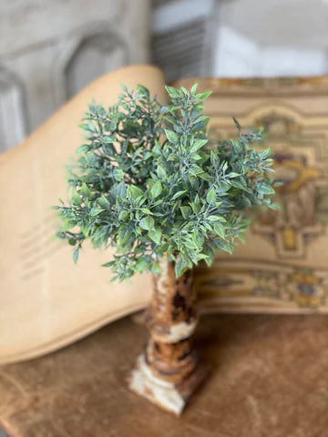 Quiet Haven Bush