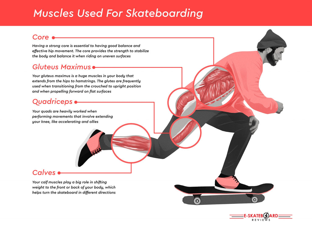 Muscles Used While Skateboarding