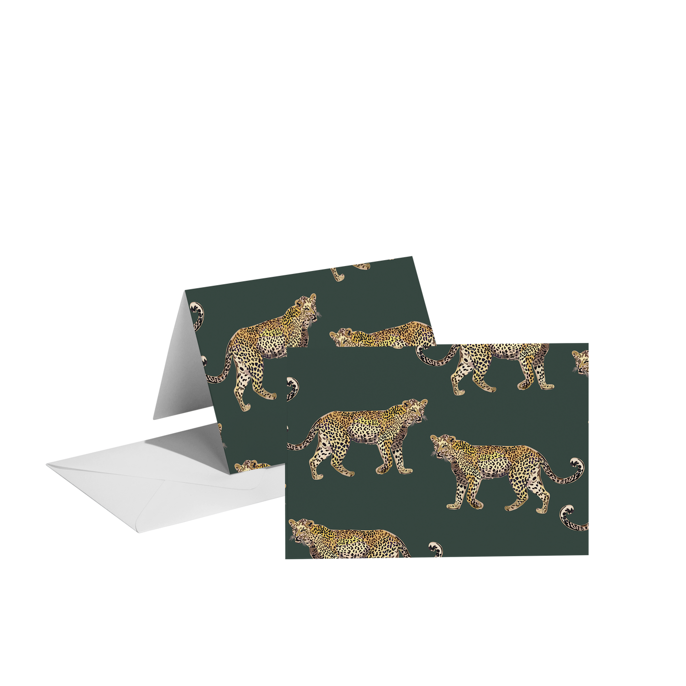 Folded Notecard Cheetahs Folded Notecard dombezalergii