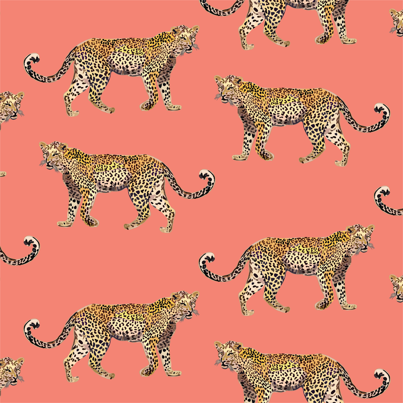 Peel & Stick Wallpaper Coral / 24"x 48" Cheetahs Peel & Stick Wallpaper dombezalergii