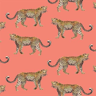 Peel & Stick Wallpaper Coral / 24"x 48" Cheetahs Peel & Stick Wallpaper dombezalergii