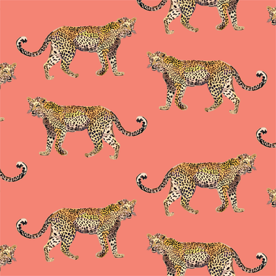 Wallpaper Cheetahs Wallpaper dombezalergii