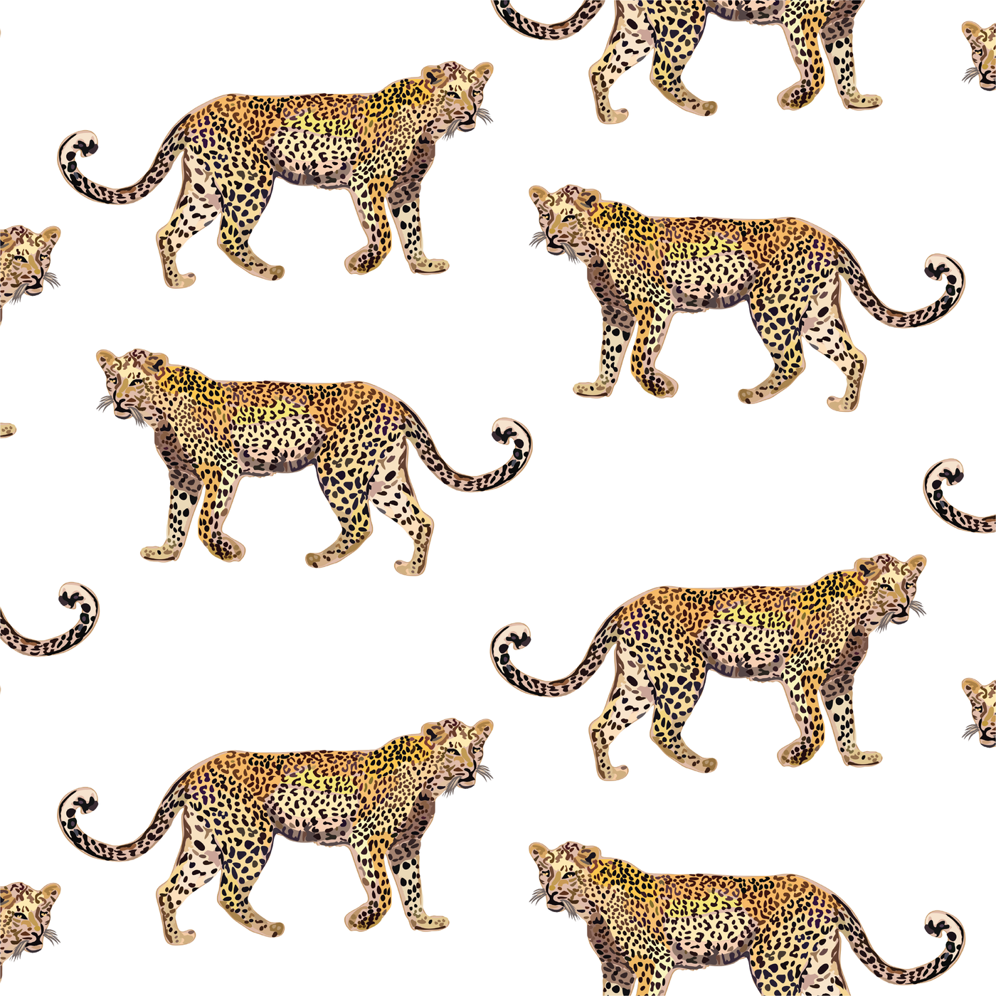 Wallpaper Cheetahs Wallpaper dombezalergii