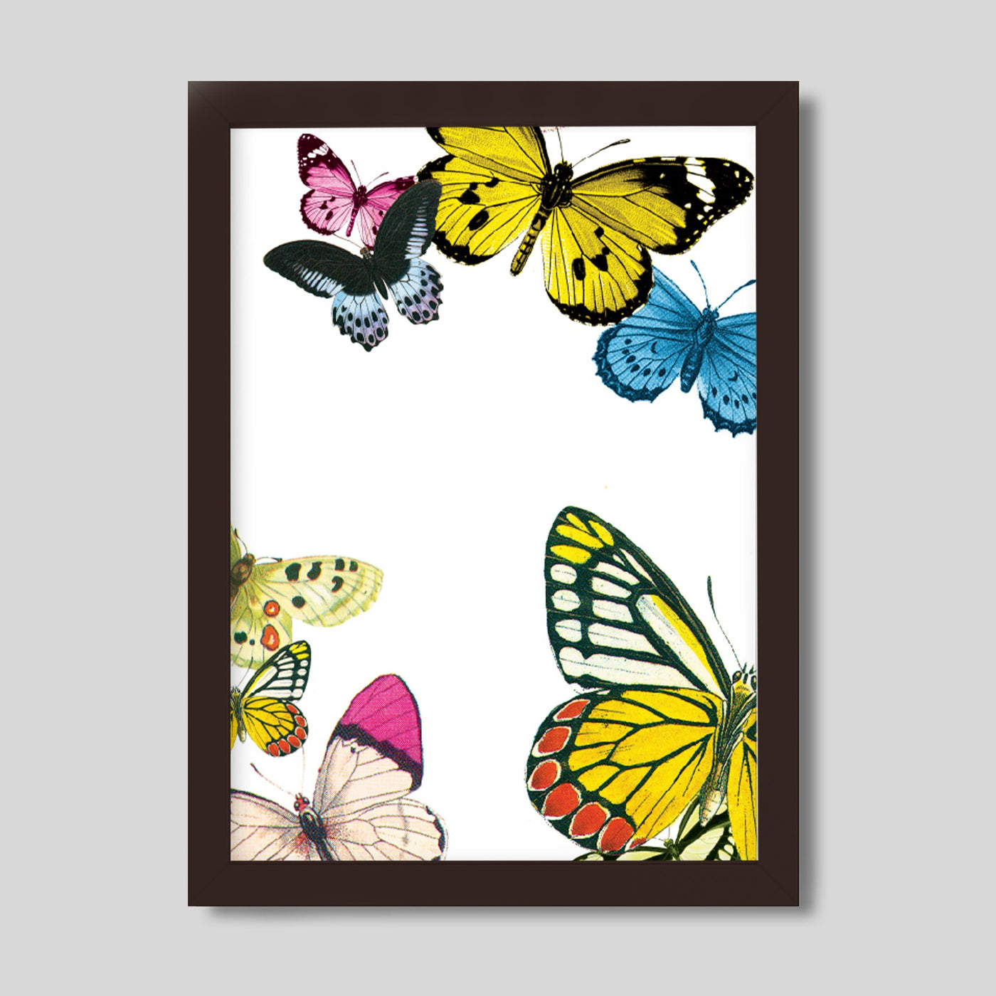 Gallery Prints 8x10 / walnut frame Metamorphosis Gallery Print dombezalergii