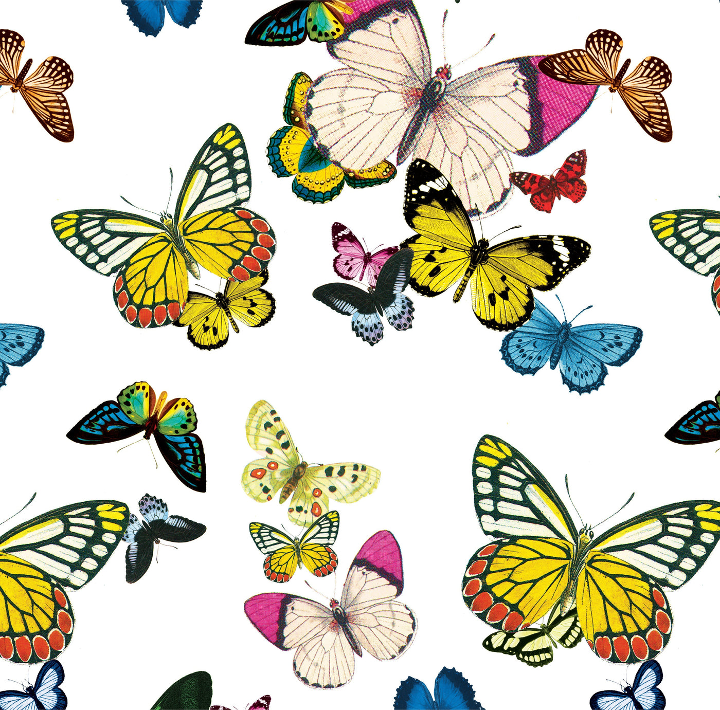 Peel & Stick Wallpaper 24"x 48" Metamorphosis Peel & Stick Wallpaper dombezalergii