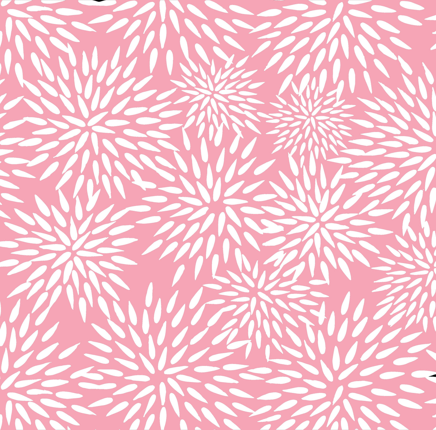 Wallpaper Double Roll / Pink Mums The Word Wallpaper dombezalergii