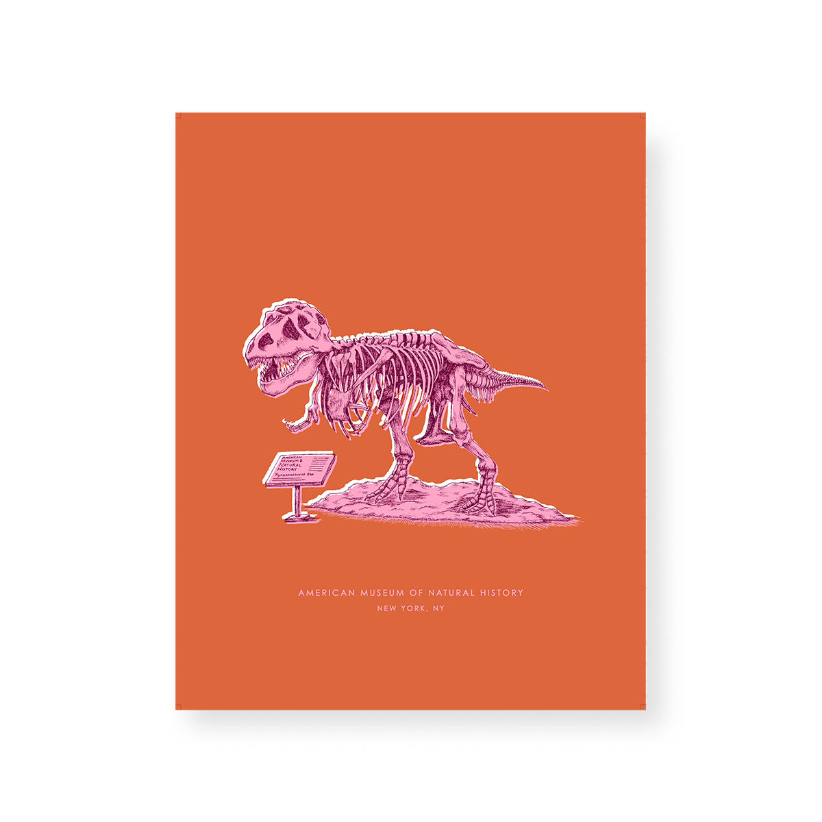 Gallery Print New York Dinosaur Print dombezalergii