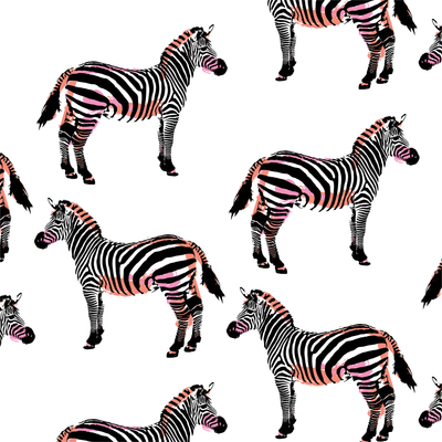Wallpaper Zebras Wallpaper dombezalergii