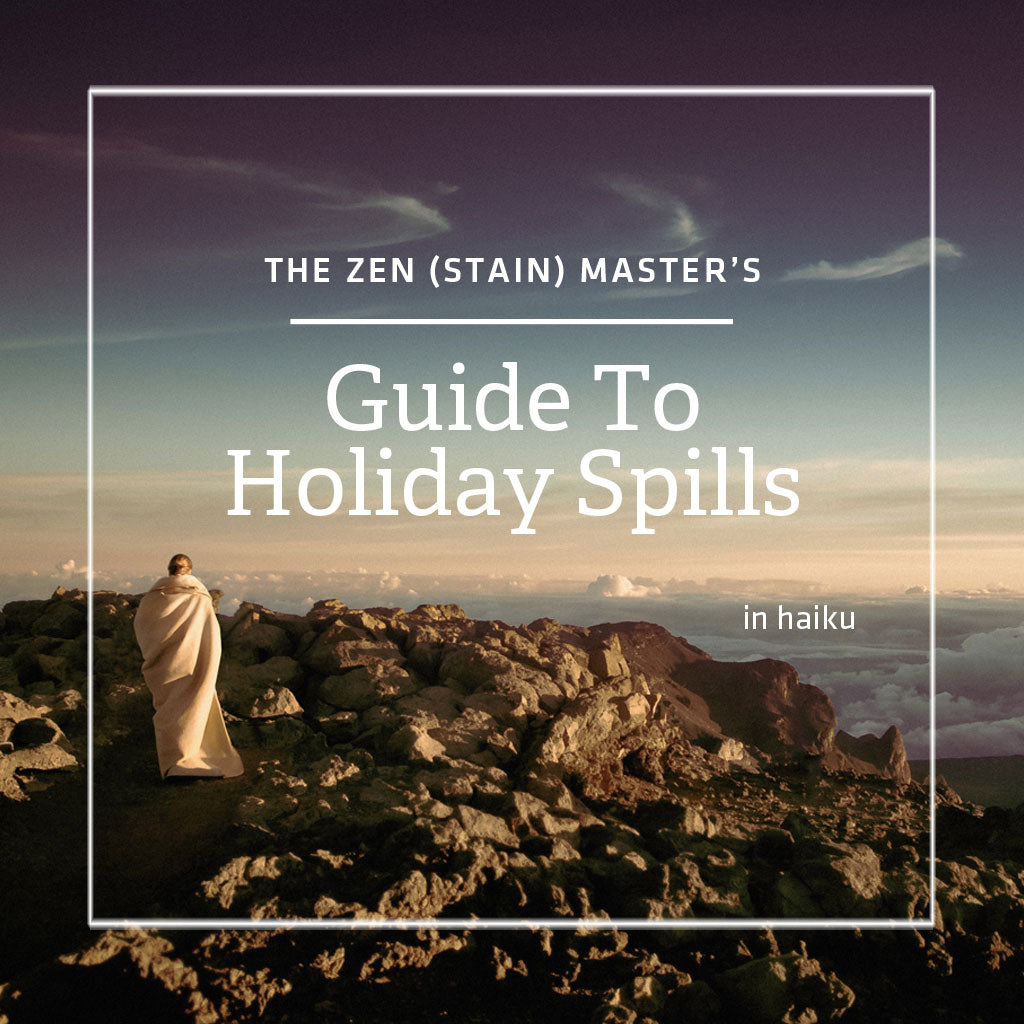 The Zen (Stain) Master's Guide to Holiday Spills