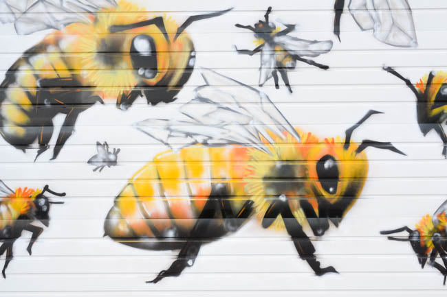 Honeybee Mural
