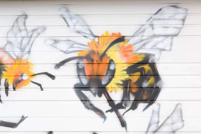 Honeybee Mural at Old Blue Raw Honey by artist Manny Arechiga