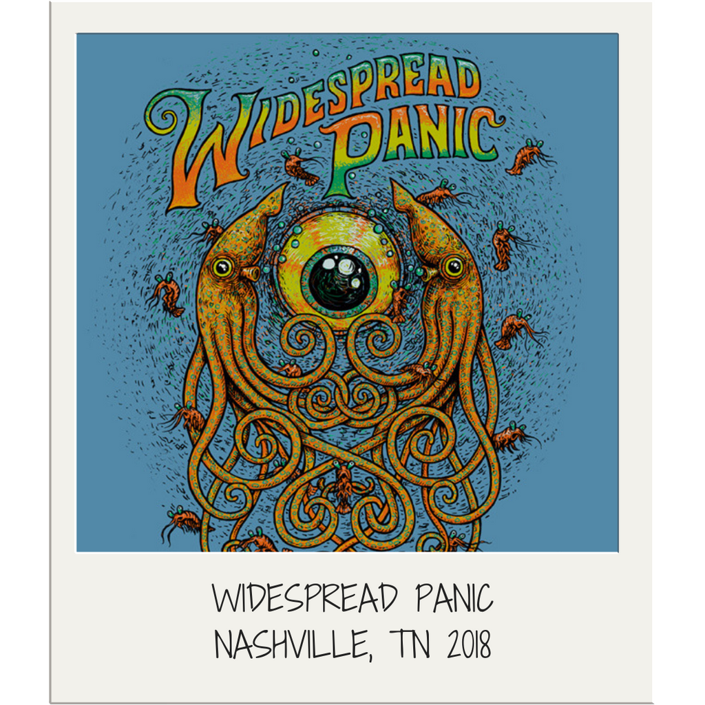 top takeaways from widespread panic in nashville!
