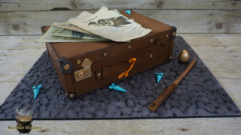 Newt Scamander's suitcase by Hailey's Sweet Temptations