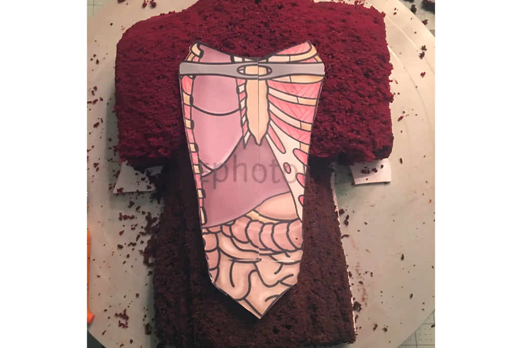 Anatomy cake by Guy Meets Cake