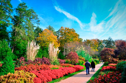 Longwood Botanial Gardens, Philadelphia
