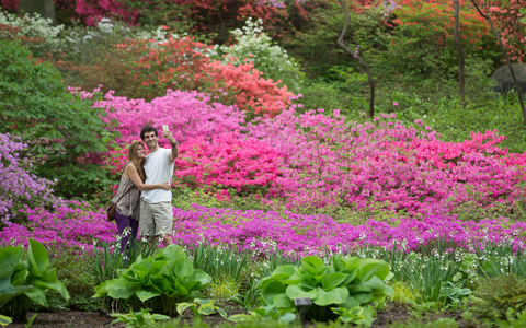 New York Bronx Botanical Gardens