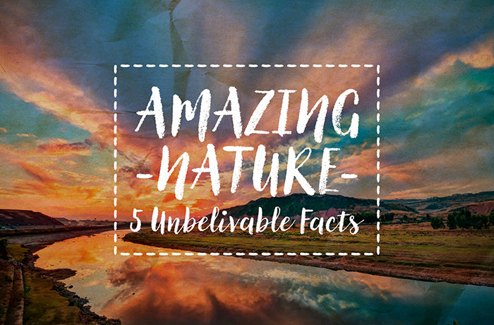 Amazing Nature: 5 Unbelievable facts 
