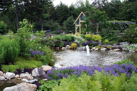 Coastal Maine Botanical Garden