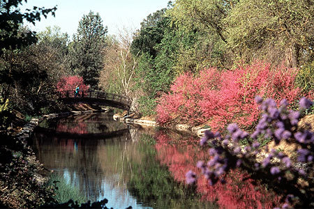 UC Davis Arboretum Botanical Garden