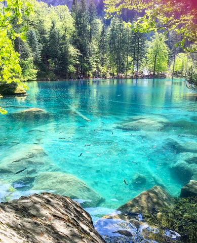 scuba diving at clear lake 