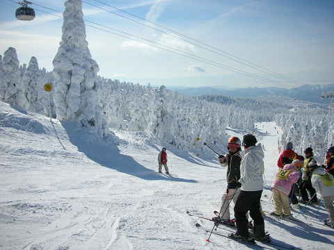 Worlds Best Ski Towns treehut co travel blog handmade wooden watches from san francisco holiday season niseko japan