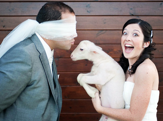 hilarious bride and groom wedding photos 