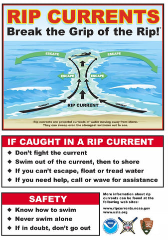 how to escape rip currents info graph 