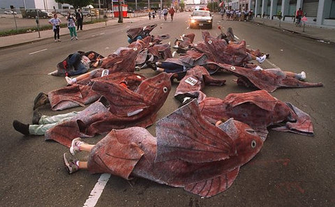 salmon costume bay to breakers