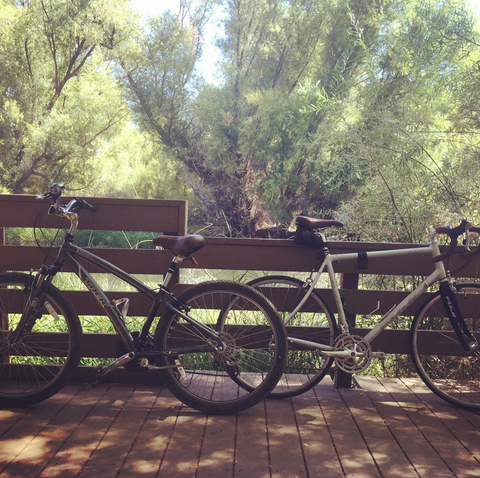 mountain biking at clear lake california 