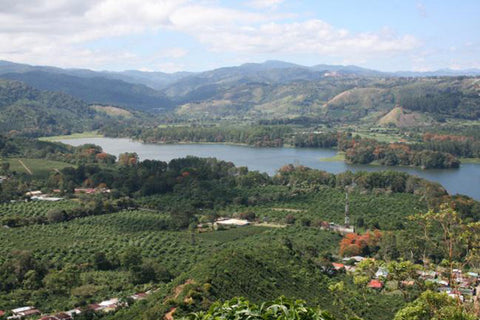 Kaffee aus Costa Rica - ein Reisebericht von Kater's Kaffeerösterei 