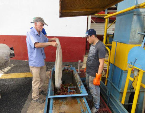 Kaffee aus Costa Rica - ein Reisebericht von Kater's Kaffeerösterei 