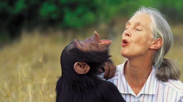 jane goodall