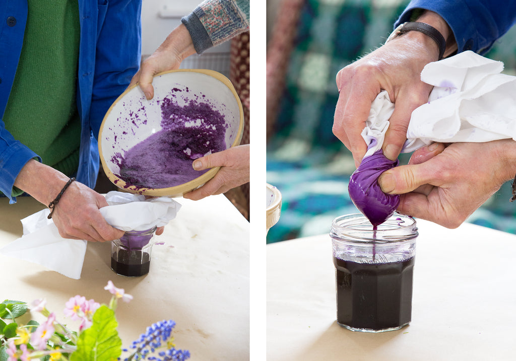 making plant pigments - red cabbage