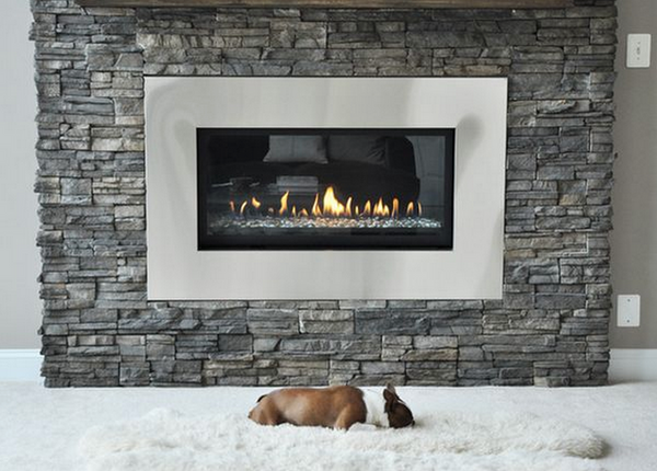 Modern Fireplace with a dog