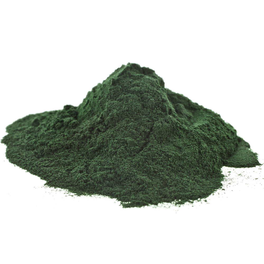 Spirulina Powder (Arthrospira platensis) Organic – Ingraham Organics