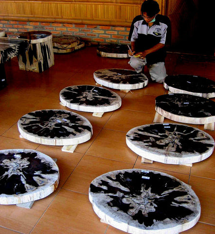 Petrified Wood Slabs