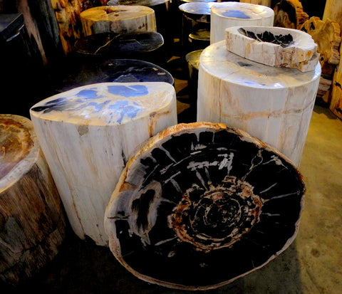 petrified wood stools