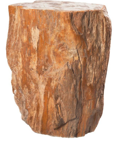 Tan Petrified Wood