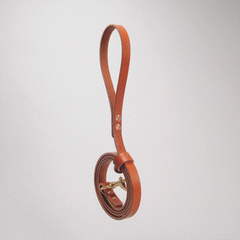 Loyal Leash