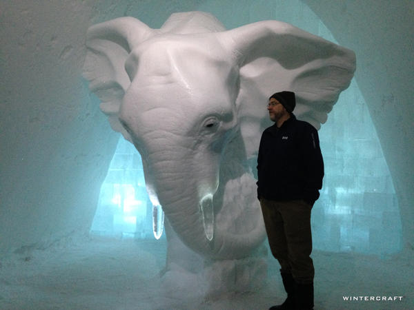 The "Elephant in the Room" Room with Tom to show scale.