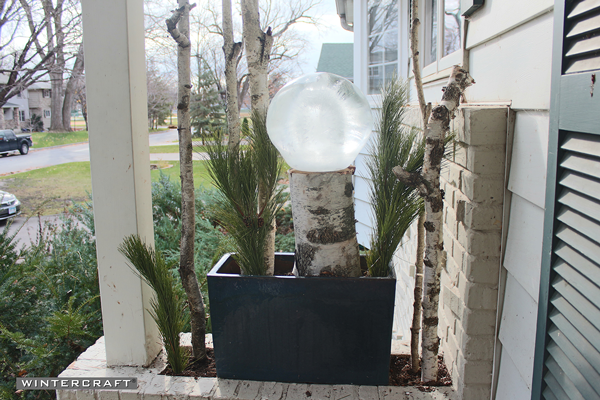Start to add greens to the Wintercraft Globe Ice Lantern Perch Front Entrance Planter