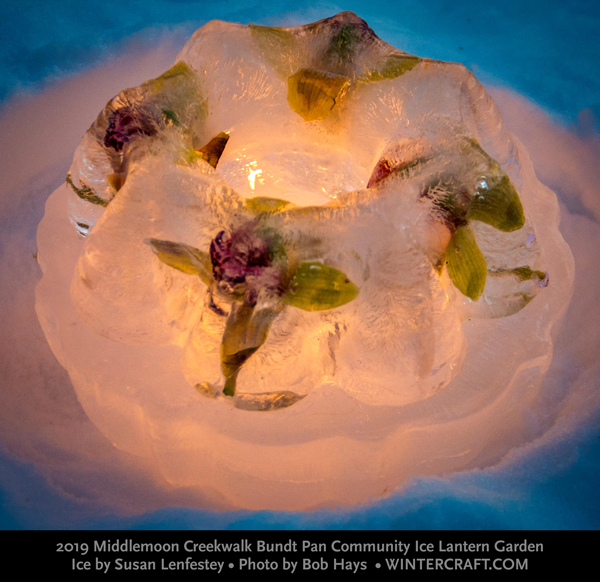 Ice by Susan Lenfestey photo by Bob Hays 2019 Middlemoon Bundt Pan Community ice garden