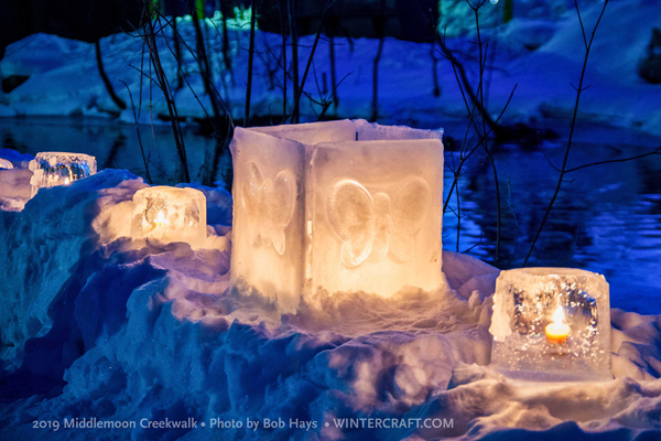 Butterfly Surround Ice Lantern by Mary Arneson 2019 Middlemoon Creekwalk Wintercraft